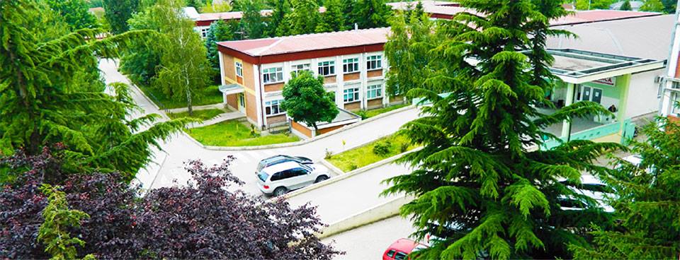 Gjarpërinjtë po shfaqen – Spitali i Pejës gati me trajtim dhe serum kundër helmimit