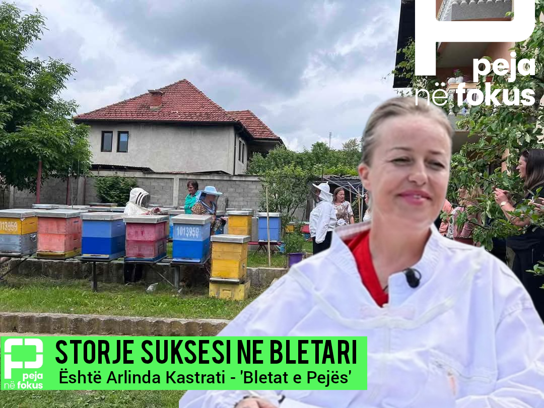 Gratë që rrisin bletë dhe shpresë në Pejë
